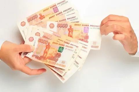 Займы без переплат? Как платформа “Сравни” помогает найти лучшие предложения и избежать кредитной ловушки